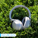 All photos: Adam Clark Estes / Gizmodo
